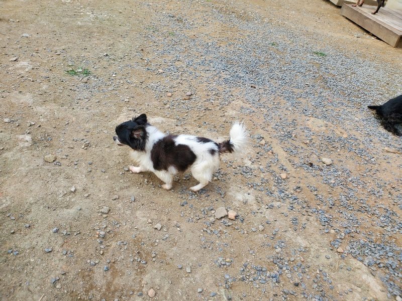 f:id:roukenhome-ann:20190930145329j:plain