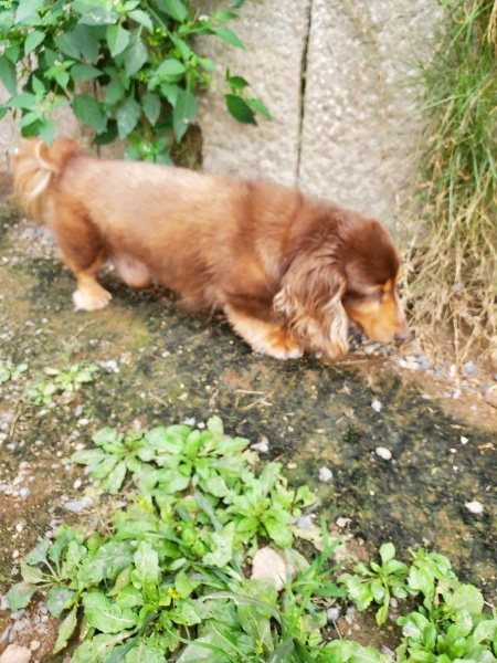 f:id:roukenhome-ann:20190930145334j:plain