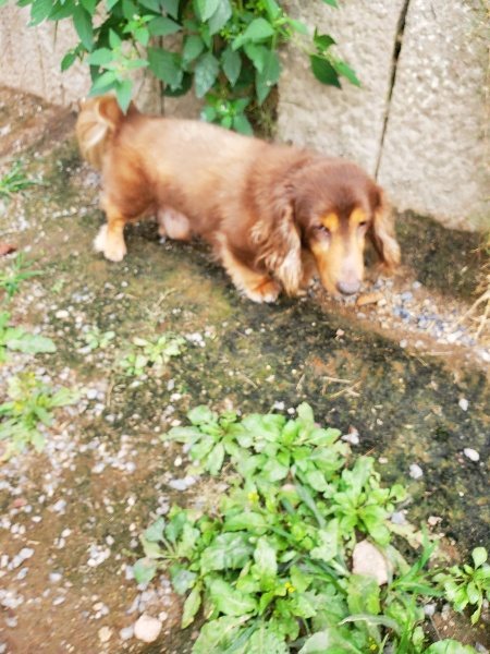 f:id:roukenhome-ann:20190930145342j:plain