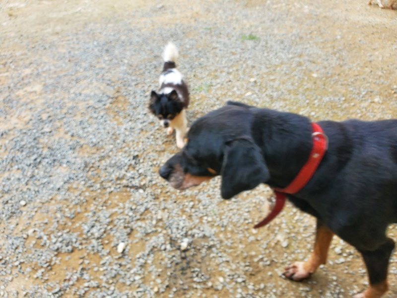 f:id:roukenhome-ann:20190930145353j:plain