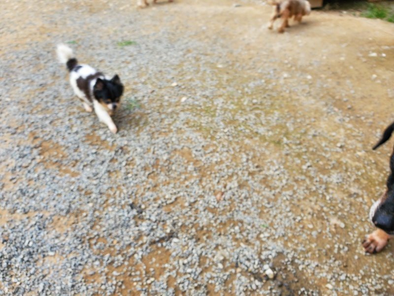 f:id:roukenhome-ann:20190930145358j:plain