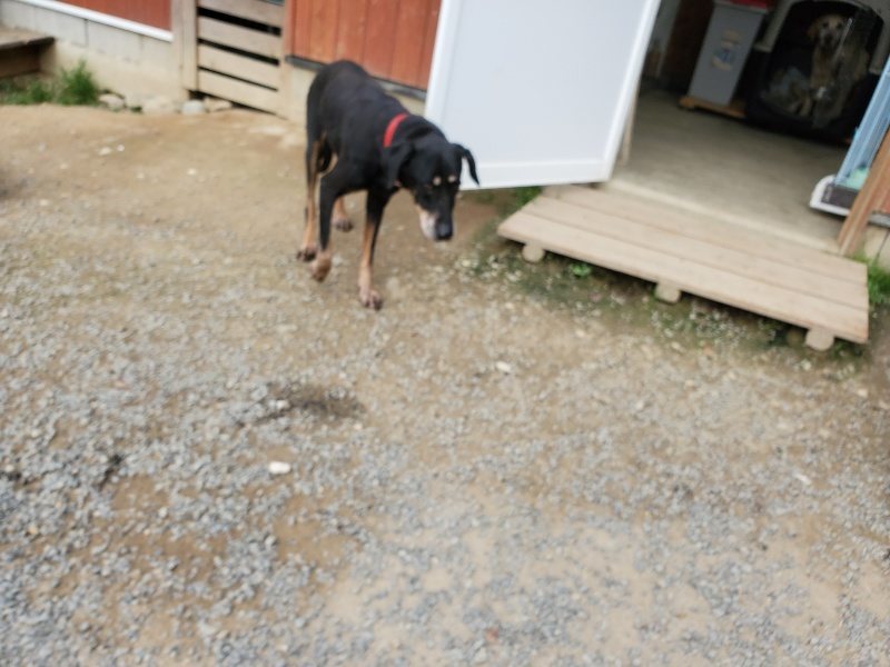 f:id:roukenhome-ann:20190930145402j:plain