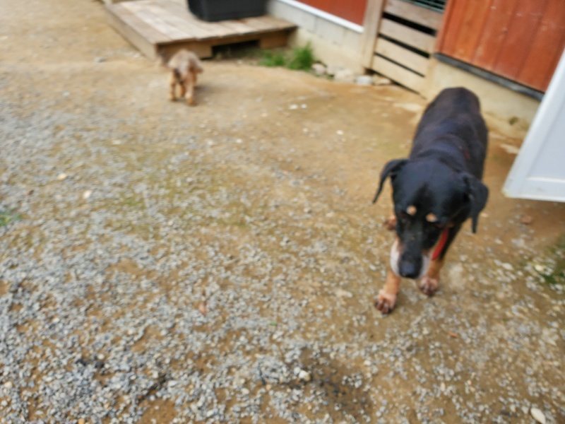 f:id:roukenhome-ann:20190930145406j:plain