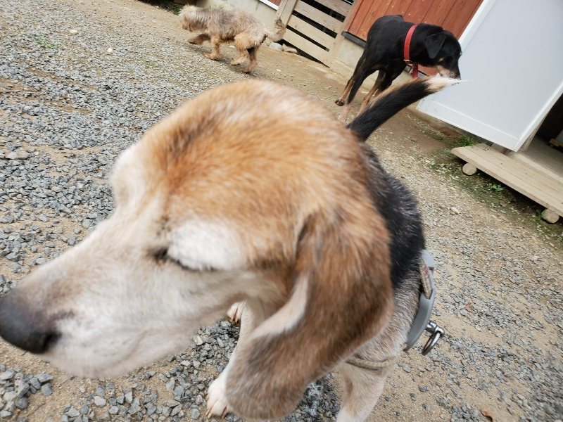 f:id:roukenhome-ann:20190930145411j:plain