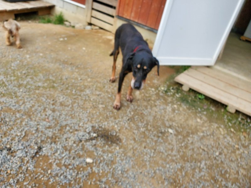 f:id:roukenhome-ann:20190930145415j:plain