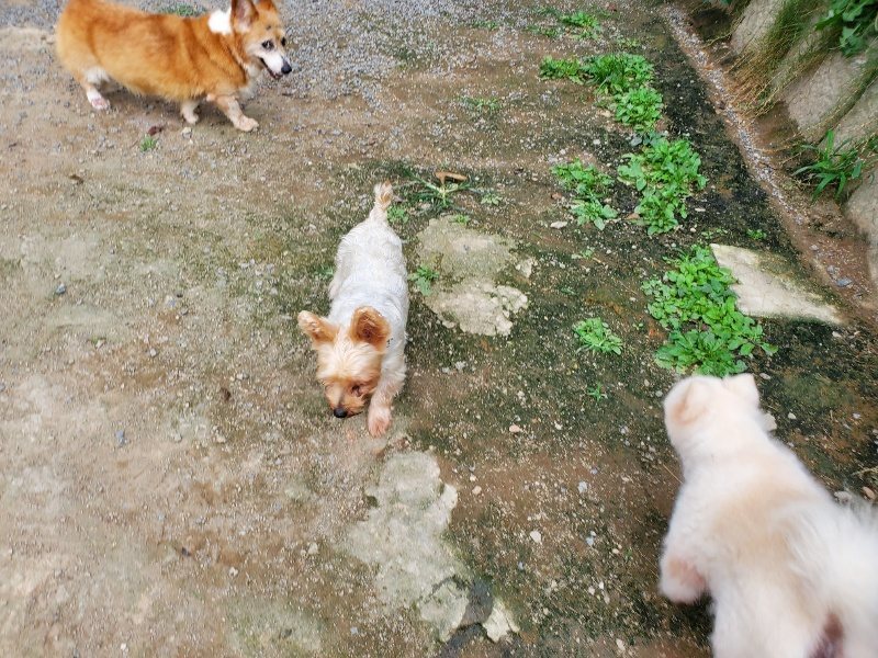f:id:roukenhome-ann:20190930145515j:plain