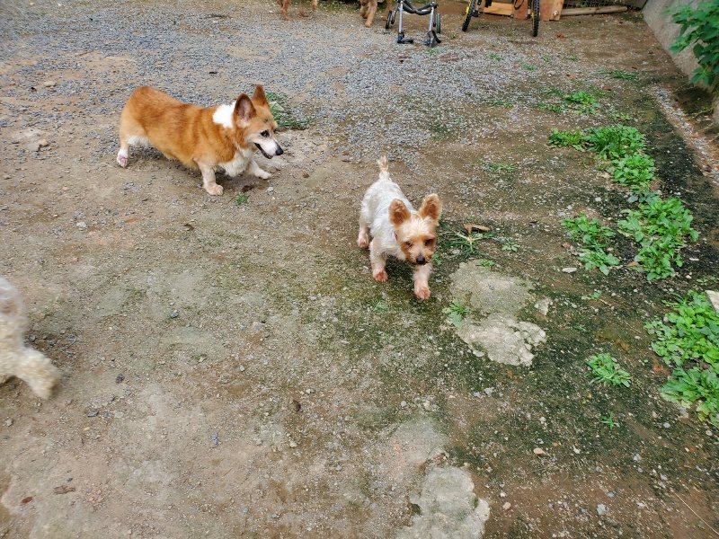 f:id:roukenhome-ann:20190930145521j:plain