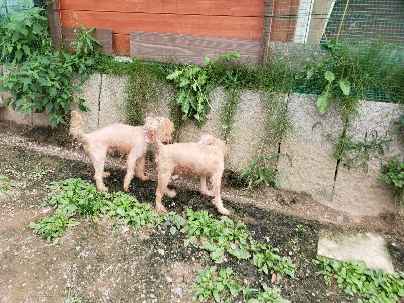 f:id:roukenhome-ann:20190930145528j:plain