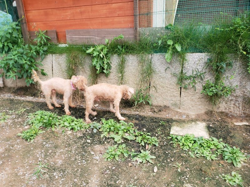 f:id:roukenhome-ann:20190930145539j:plain