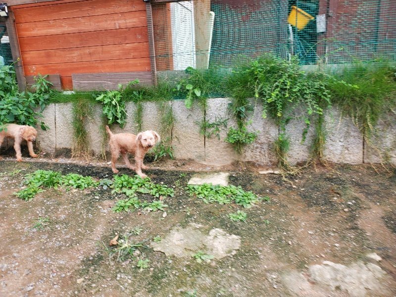 f:id:roukenhome-ann:20190930145545j:plain