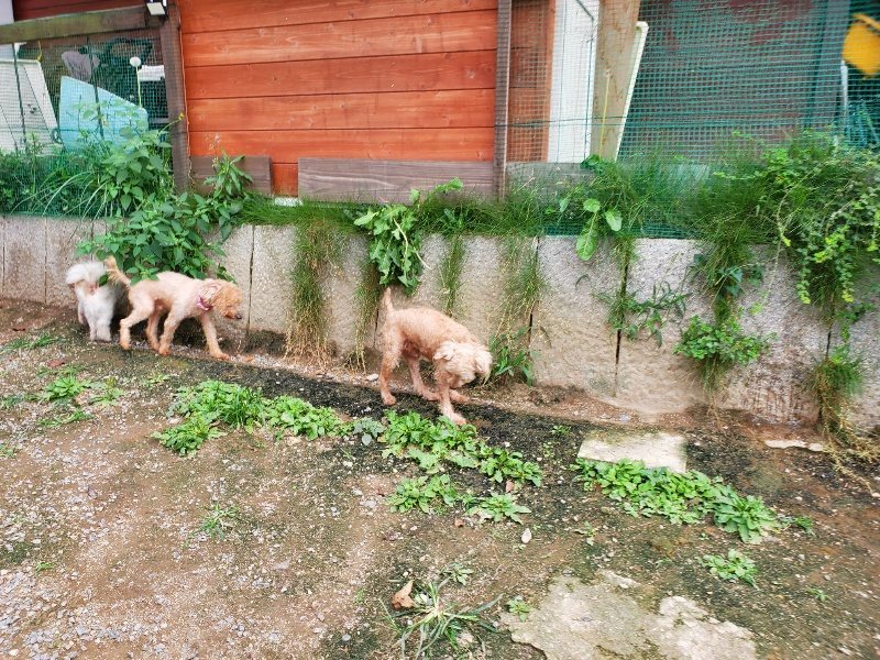 f:id:roukenhome-ann:20190930145556j:plain