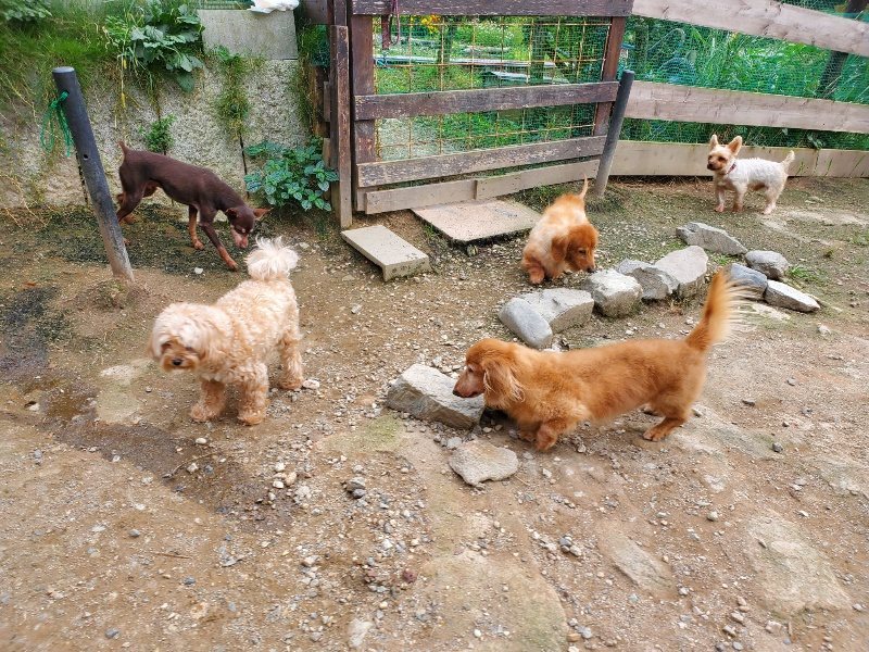 f:id:roukenhome-ann:20190930145601j:plain