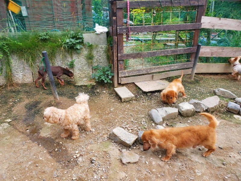 f:id:roukenhome-ann:20190930145607j:plain