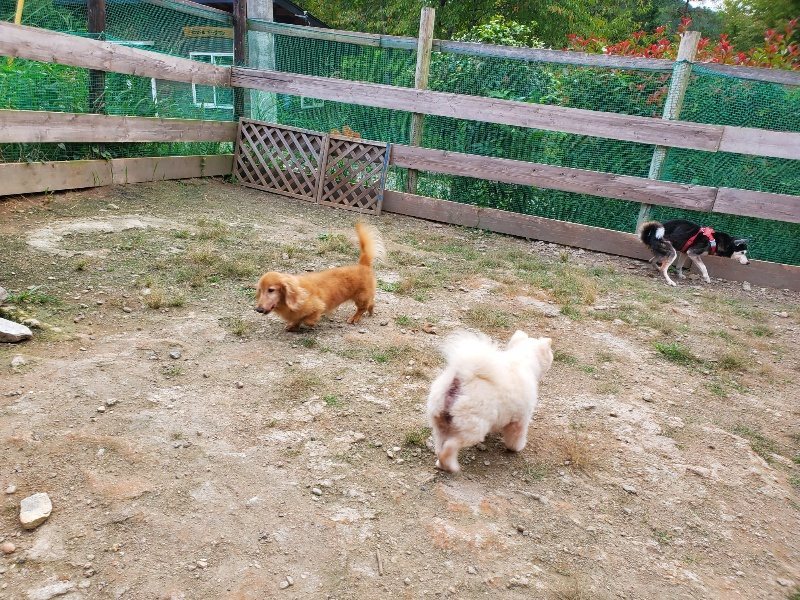f:id:roukenhome-ann:20190930145620j:plain