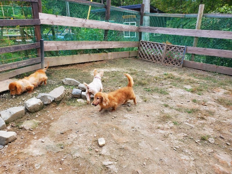 f:id:roukenhome-ann:20190930145626j:plain