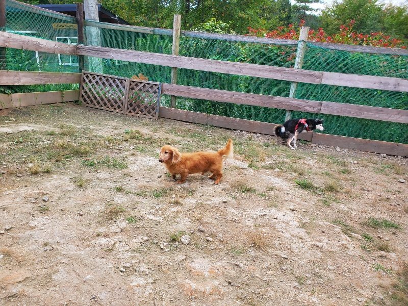 f:id:roukenhome-ann:20190930145646j:plain