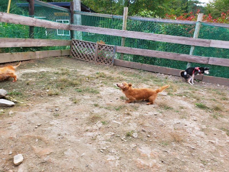 f:id:roukenhome-ann:20190930145654j:plain