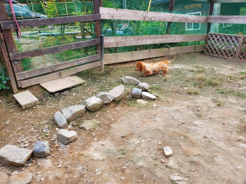 f:id:roukenhome-ann:20190930145700j:plain