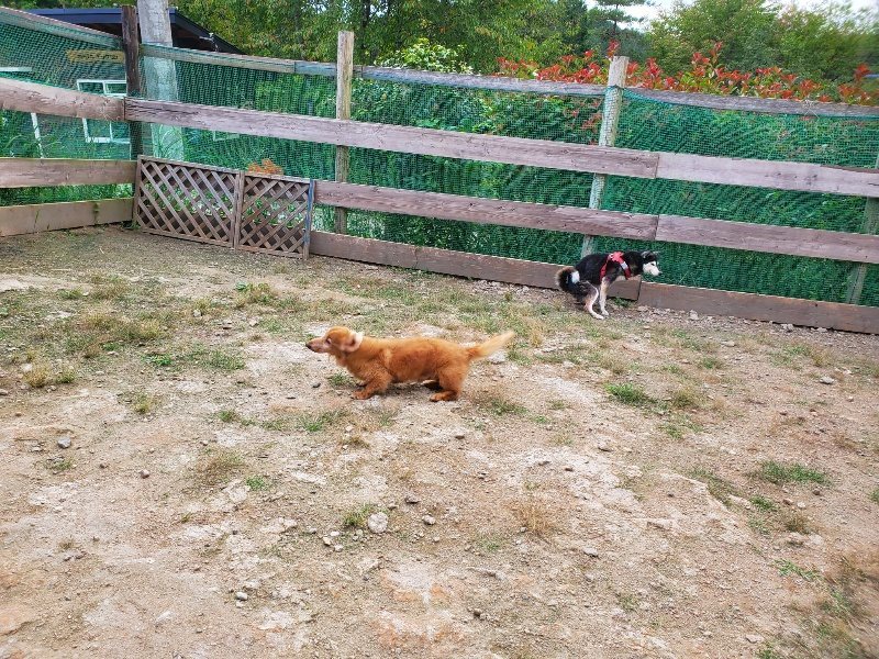 f:id:roukenhome-ann:20190930145707j:plain