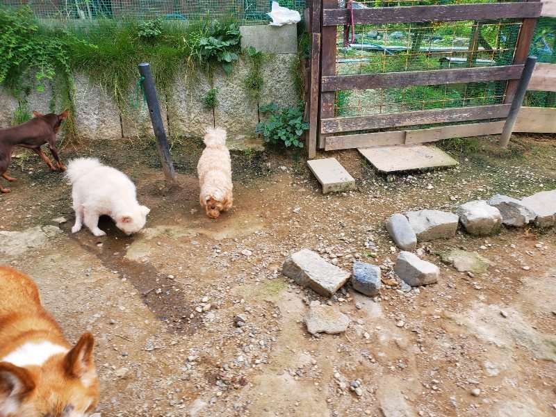 f:id:roukenhome-ann:20190930145716j:plain