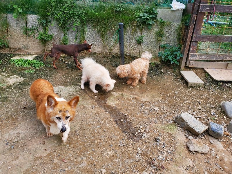 f:id:roukenhome-ann:20190930145730j:plain