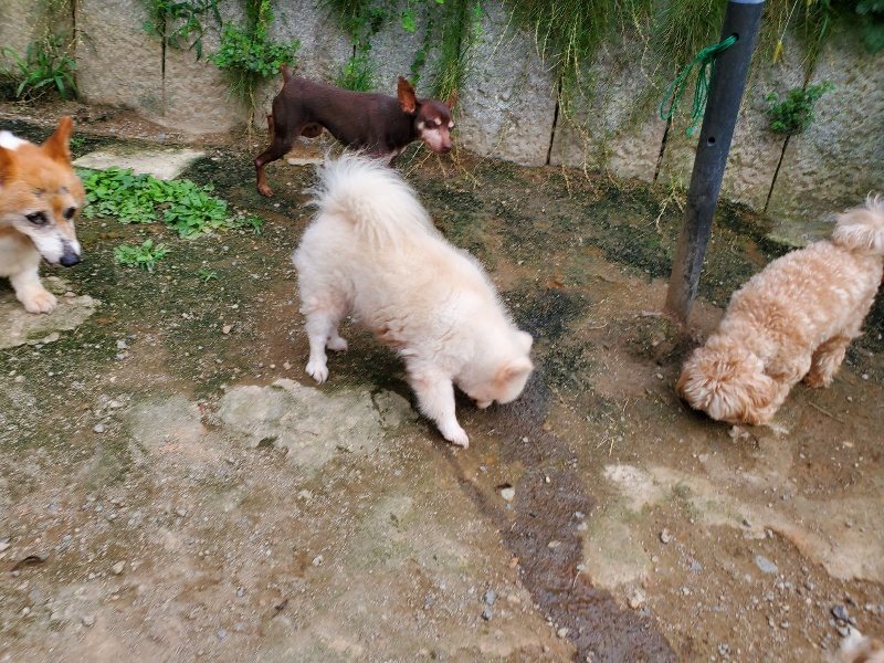 f:id:roukenhome-ann:20190930145744j:plain