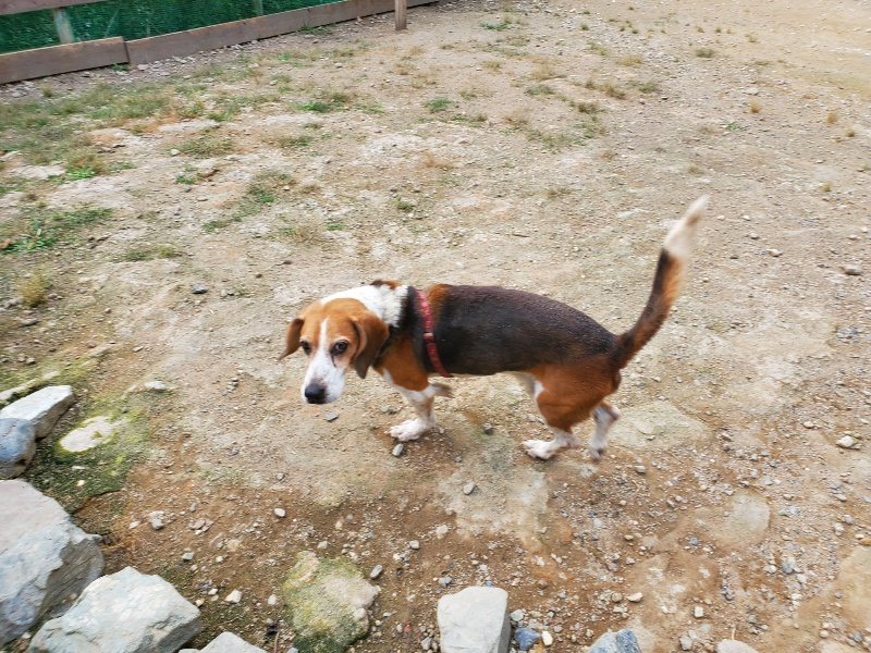 f:id:roukenhome-ann:20190930150235j:plain