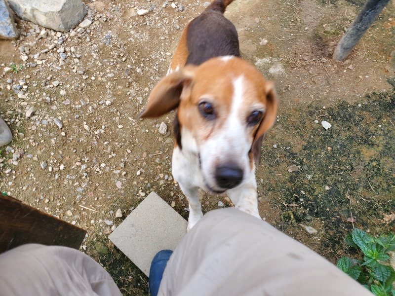 f:id:roukenhome-ann:20190930150246j:plain