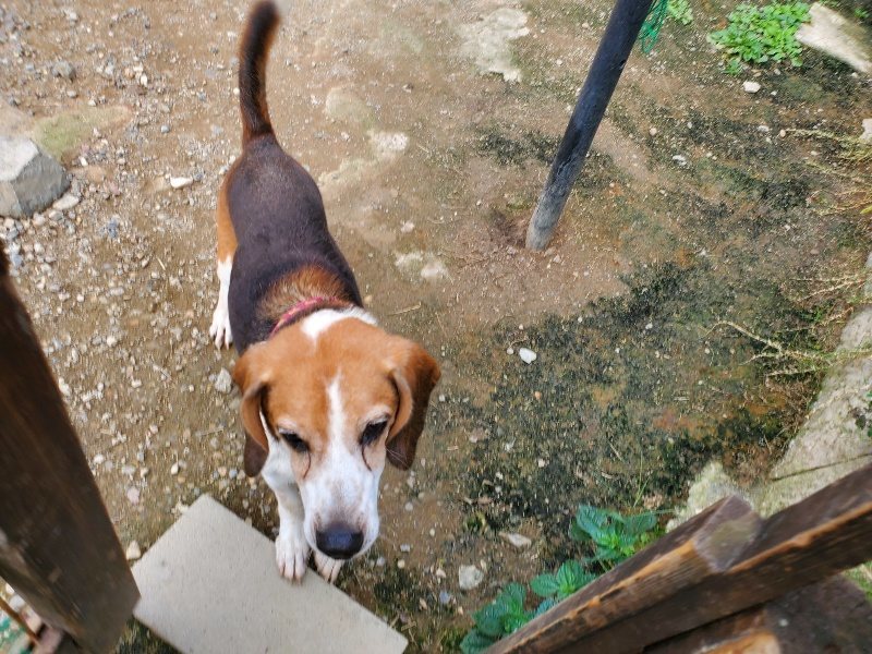 f:id:roukenhome-ann:20190930150252j:plain
