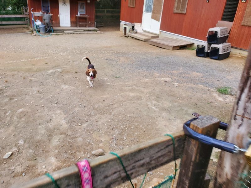 f:id:roukenhome-ann:20190930150257j:plain