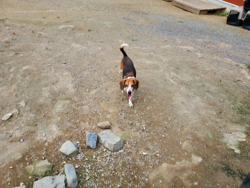 f:id:roukenhome-ann:20190930150302j:plain
