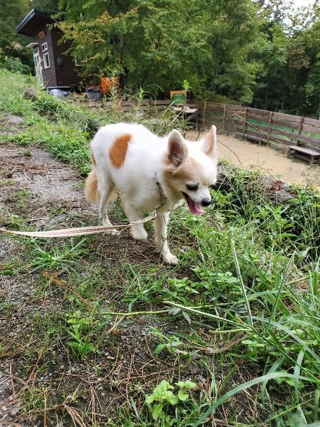 f:id:roukenhome-ann:20190930150349j:plain