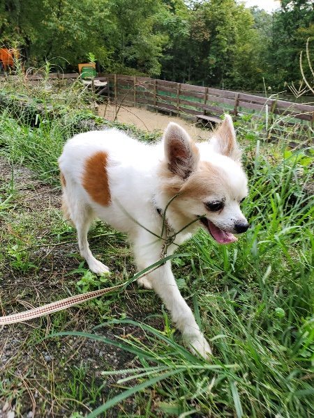 f:id:roukenhome-ann:20190930150353j:plain