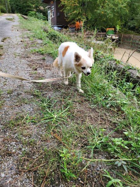 f:id:roukenhome-ann:20190930150359j:plain