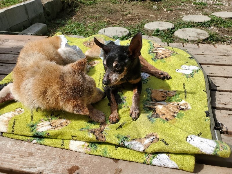 f:id:roukenhome-ann:20190930150426j:plain