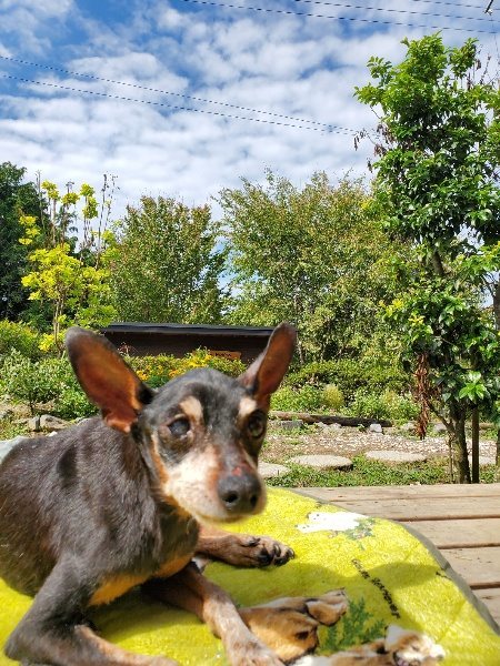 f:id:roukenhome-ann:20190930150503j:plain