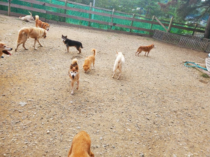 f:id:roukenhome-ann:20191001085647j:plain
