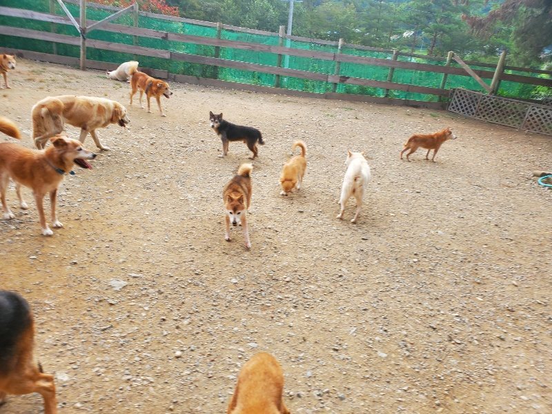 f:id:roukenhome-ann:20191001085658j:plain