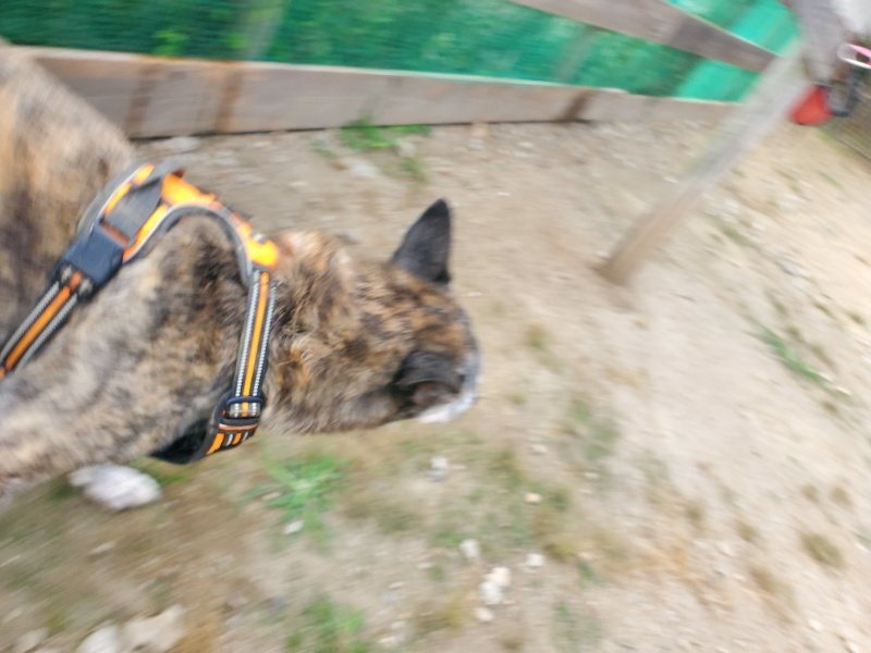 f:id:roukenhome-ann:20191001085707j:plain