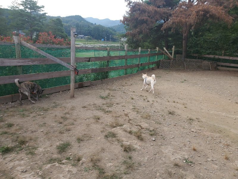 f:id:roukenhome-ann:20191001085728j:plain