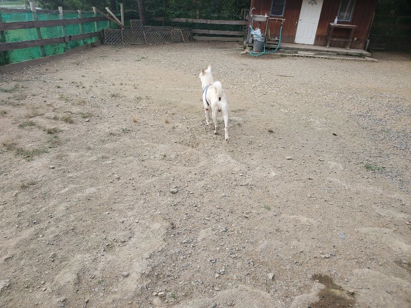 f:id:roukenhome-ann:20191001085733j:plain