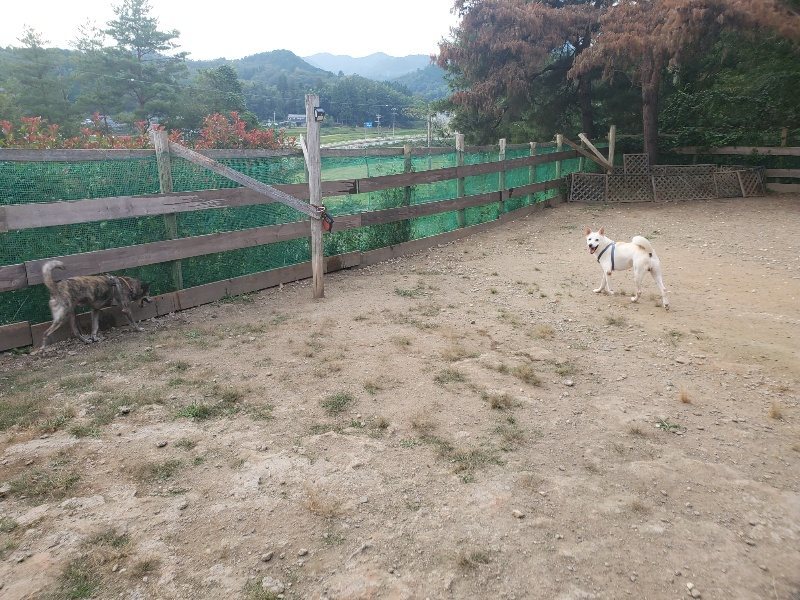 f:id:roukenhome-ann:20191001085738j:plain