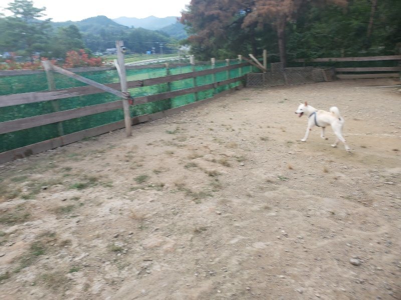 f:id:roukenhome-ann:20191001085744j:plain