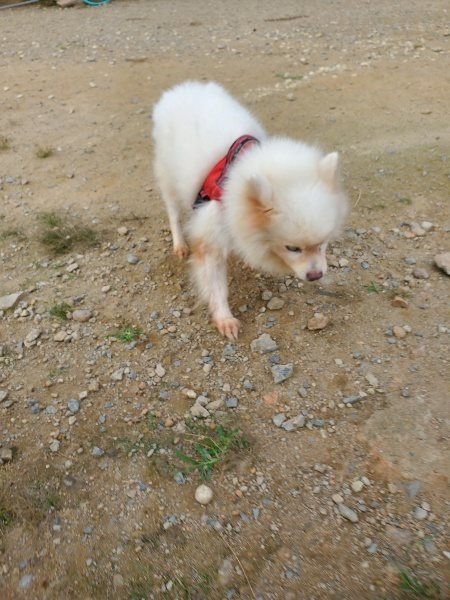 f:id:roukenhome-ann:20191001085748j:plain