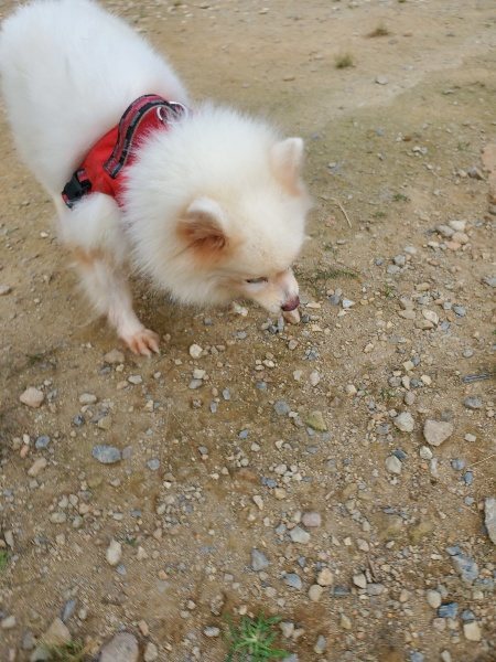f:id:roukenhome-ann:20191001085755j:plain