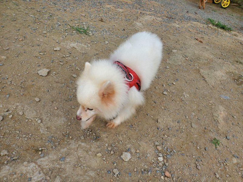 f:id:roukenhome-ann:20191001085805j:plain