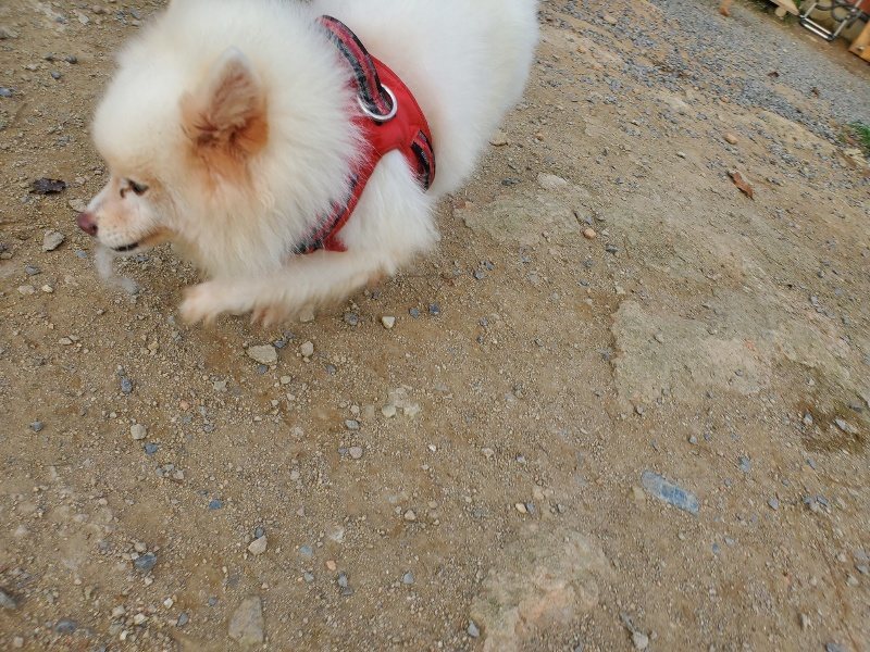 f:id:roukenhome-ann:20191001085820j:plain