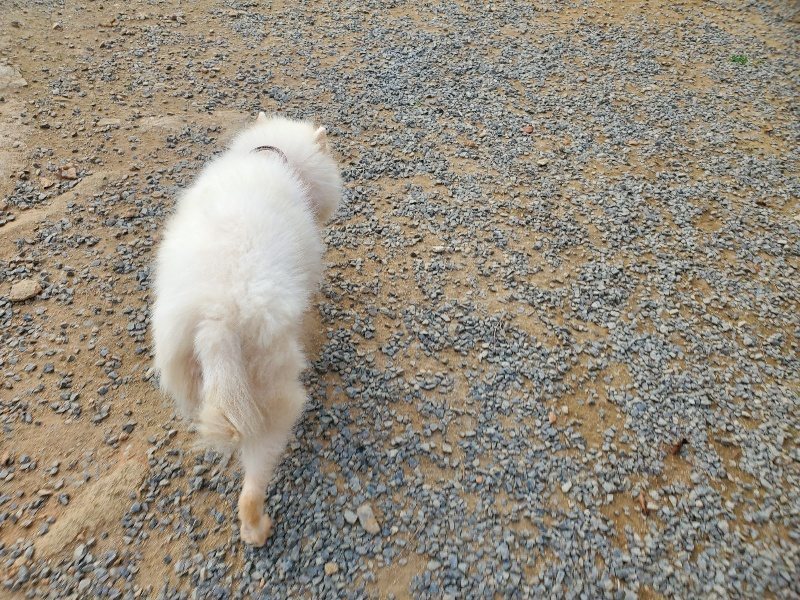 f:id:roukenhome-ann:20191001085838j:plain