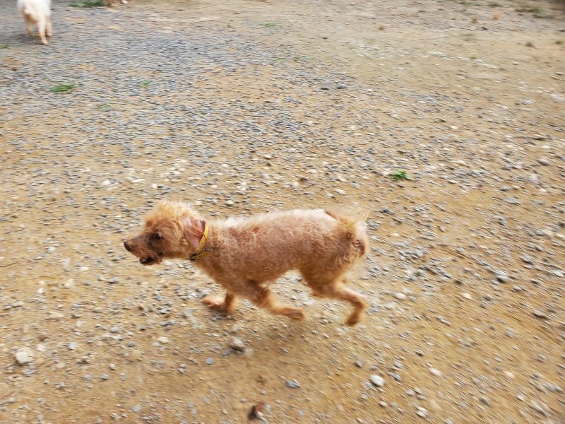 f:id:roukenhome-ann:20191001085843j:plain