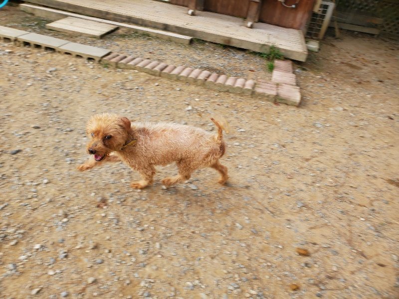 f:id:roukenhome-ann:20191001085859j:plain